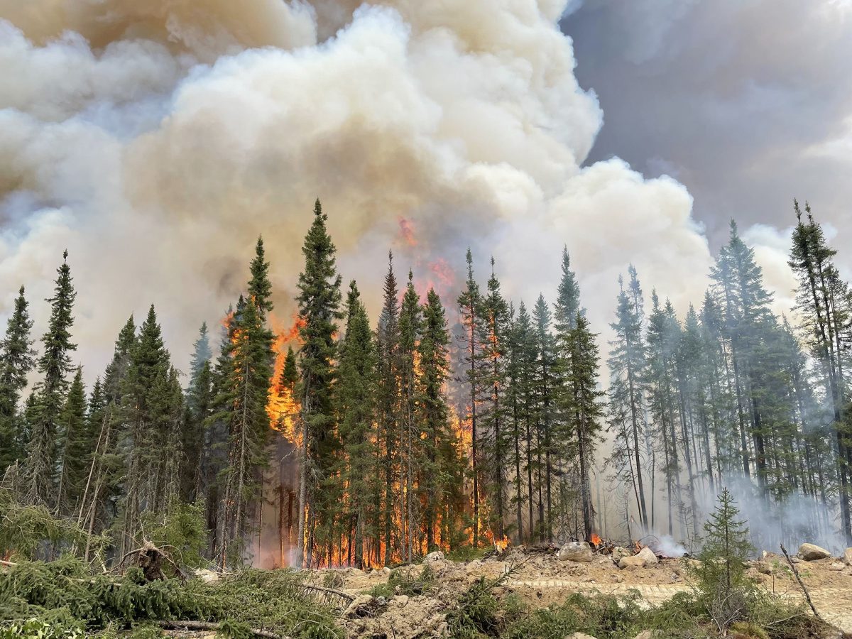 How Bad Were the Canadian Wildfires?